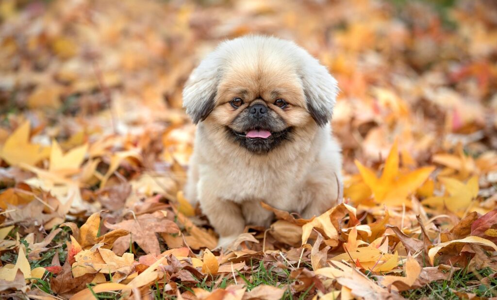 片付けを効率的に進めるためのチェックリストは？