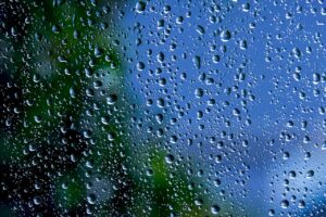 窓掃除のコツを知って、ピカピカの窓を手に入れるには？