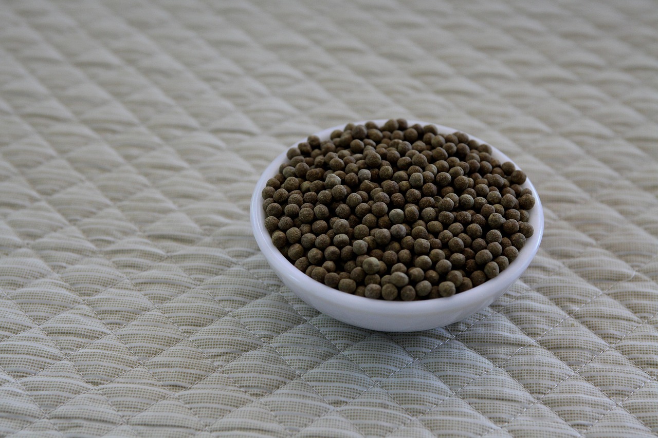 掃除が苦手な人が克服するための具体的な方法は？