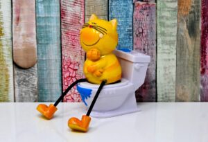 トイレの大掃除での拭き掃除の順番はどうすれば良い？