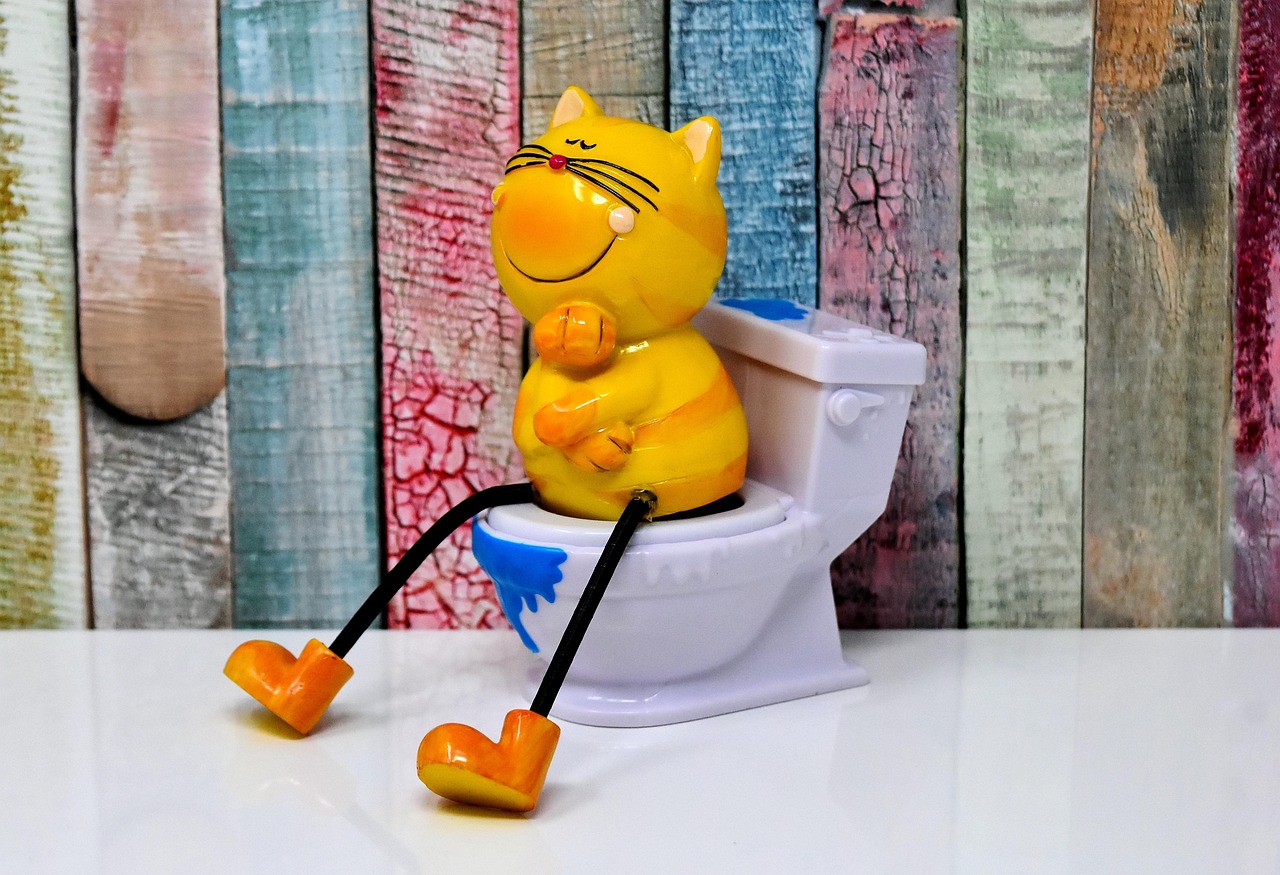 トイレの大掃除での拭き掃除の順番はどうすれば良い？