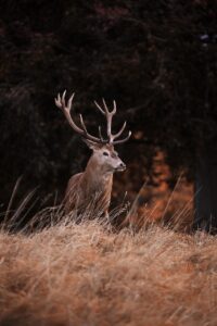 排水口の大掃除を週末だけで効率的に進める方法は？