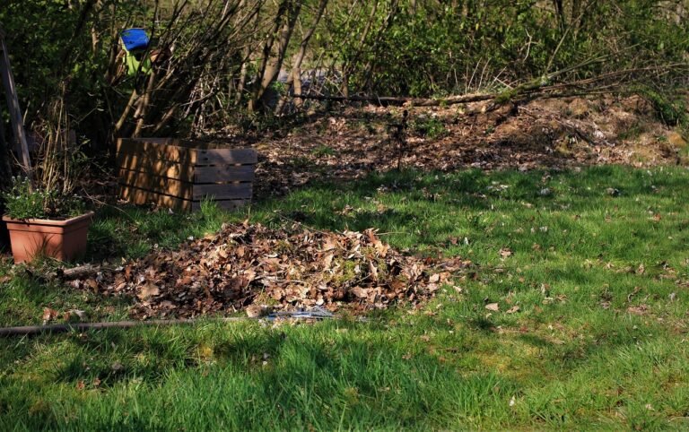 年末の大掃除、効果的な手順はこれで決まり？